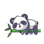 Panda Animation